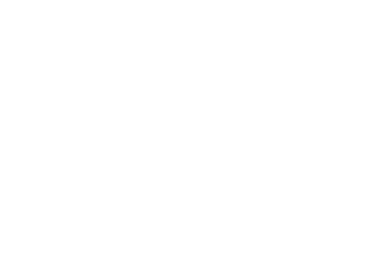 企業簡介