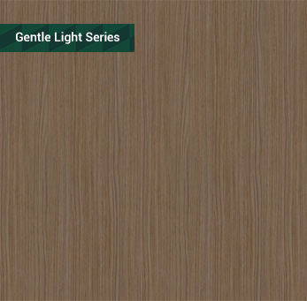 JM566-薩爾瓦多棕橡