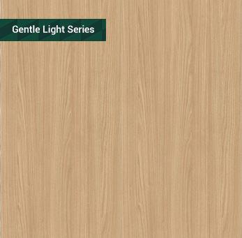 JM558-薩索棕栗木