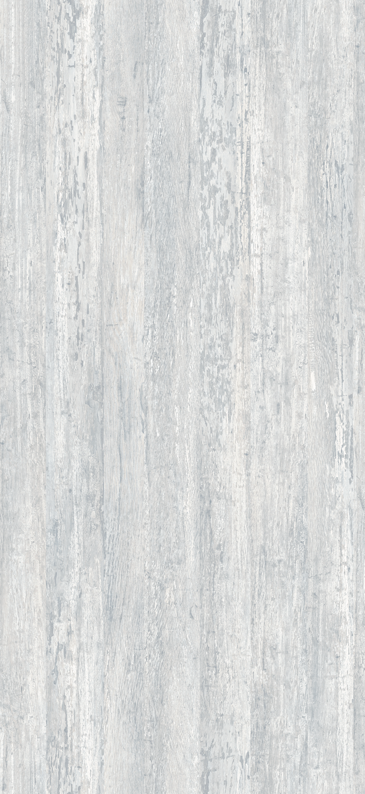 JM535H-地中海雲杉